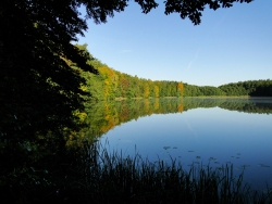 Jezioro Mrowinko w Barlinecko Gorzowskim Parku Krajobrazowym fot.P. Cieniuch
