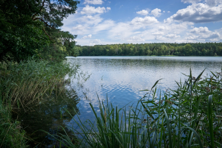 12019 jezioro Chłop fot PC 4 kopia