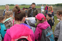 Oznaczanie i wypuszczanie motyli w siatce Oznaczanie i wypuszczanie motyli w siatce