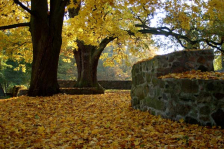Park zamkowy Park zamkowy