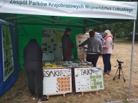IMG 20190707 114044