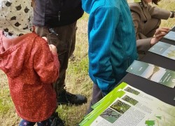 Zdjęcie przedstawia Święto Parku Mużakowskiego