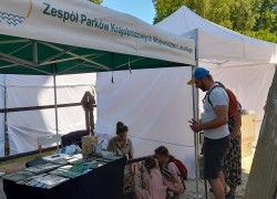zdjęcie z pikniku zdjęcie z pikniku