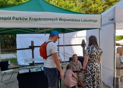 zdjęcie z pikniku zdjęcie z pikniku