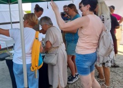zdjęcie z pikniku zdjęcie z pikniku