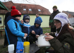 25