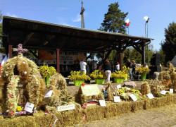 IMAG0211