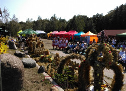 IMAG0212