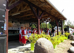 IMAG0214