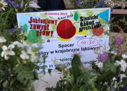 jabloniowy_2019-72