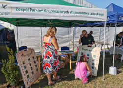IMG_20190831_161630