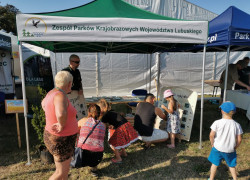 IMG_20190831_163631