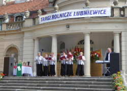 Glisno_4